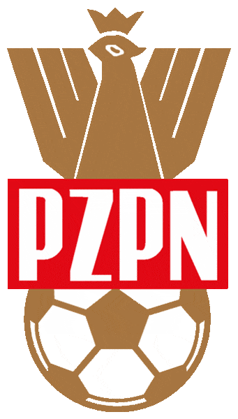 UEFA Poland 2006-2010 Primary Logo iron on transfers